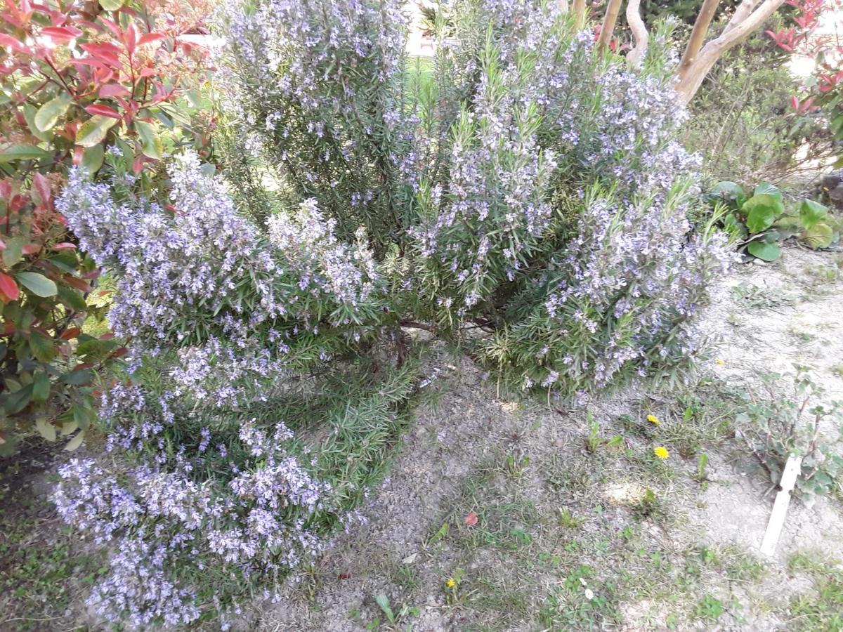 Вилла La Bonbonne En Provence Travaillan Экстерьер фото