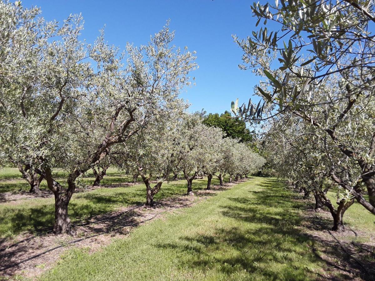 Вилла La Bonbonne En Provence Travaillan Экстерьер фото