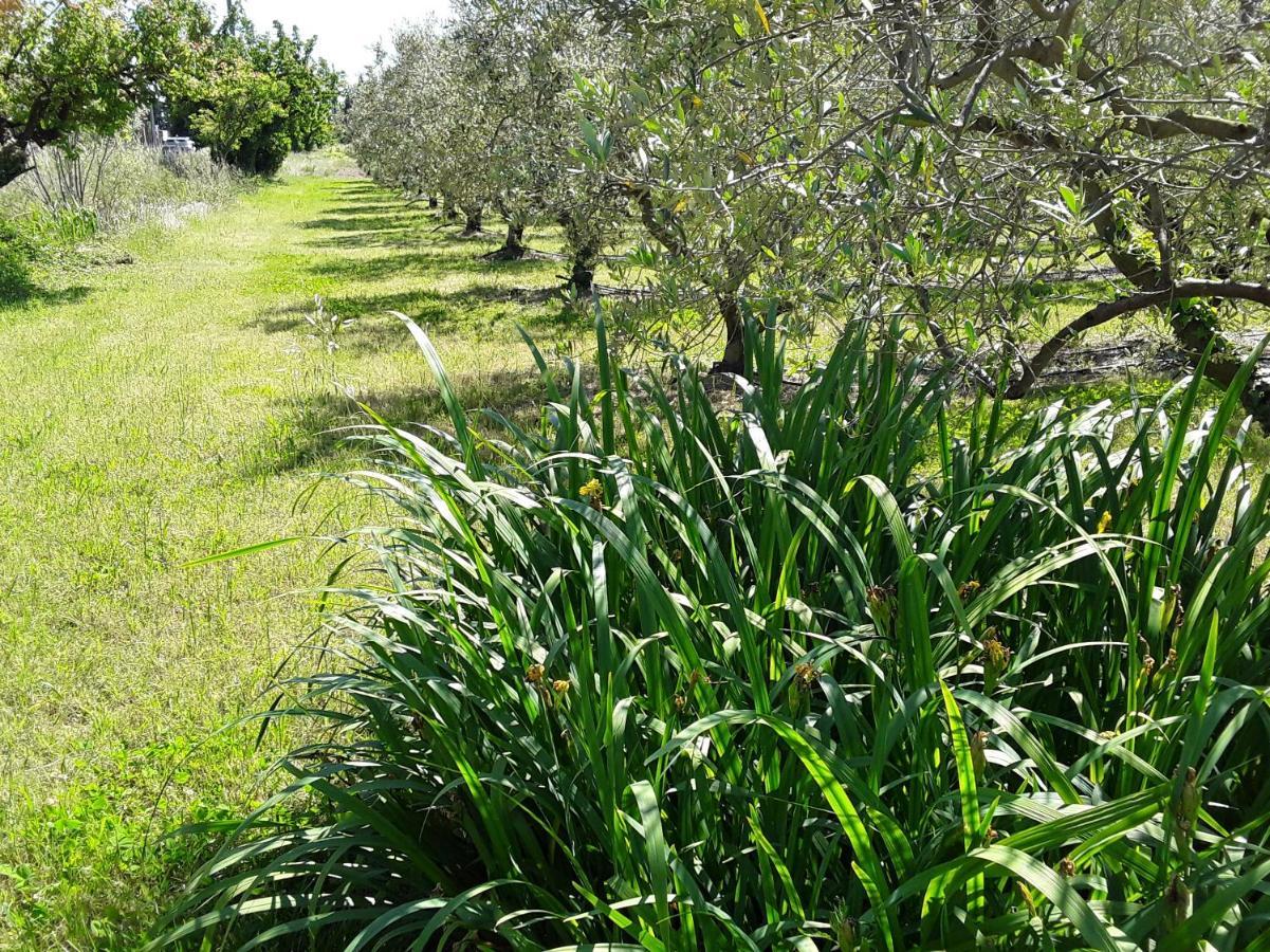 Вилла La Bonbonne En Provence Travaillan Экстерьер фото