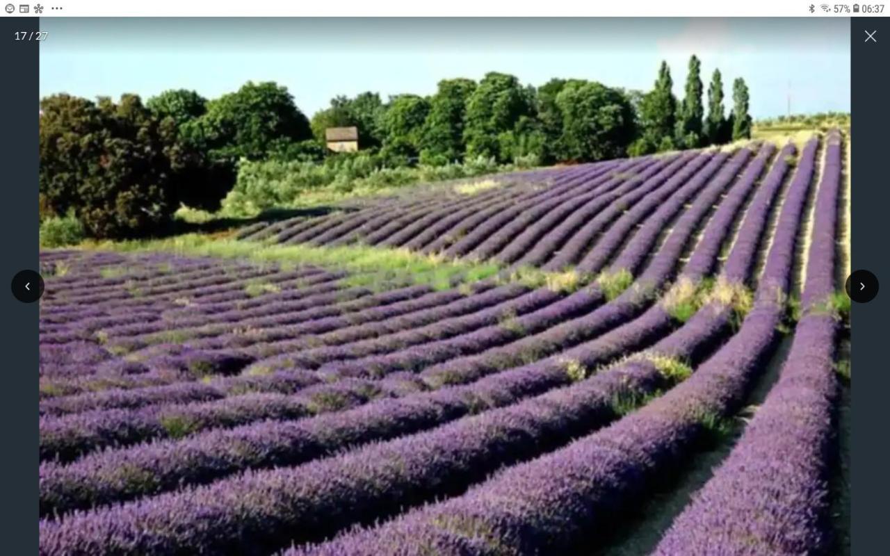 Вилла La Bonbonne En Provence Travaillan Экстерьер фото