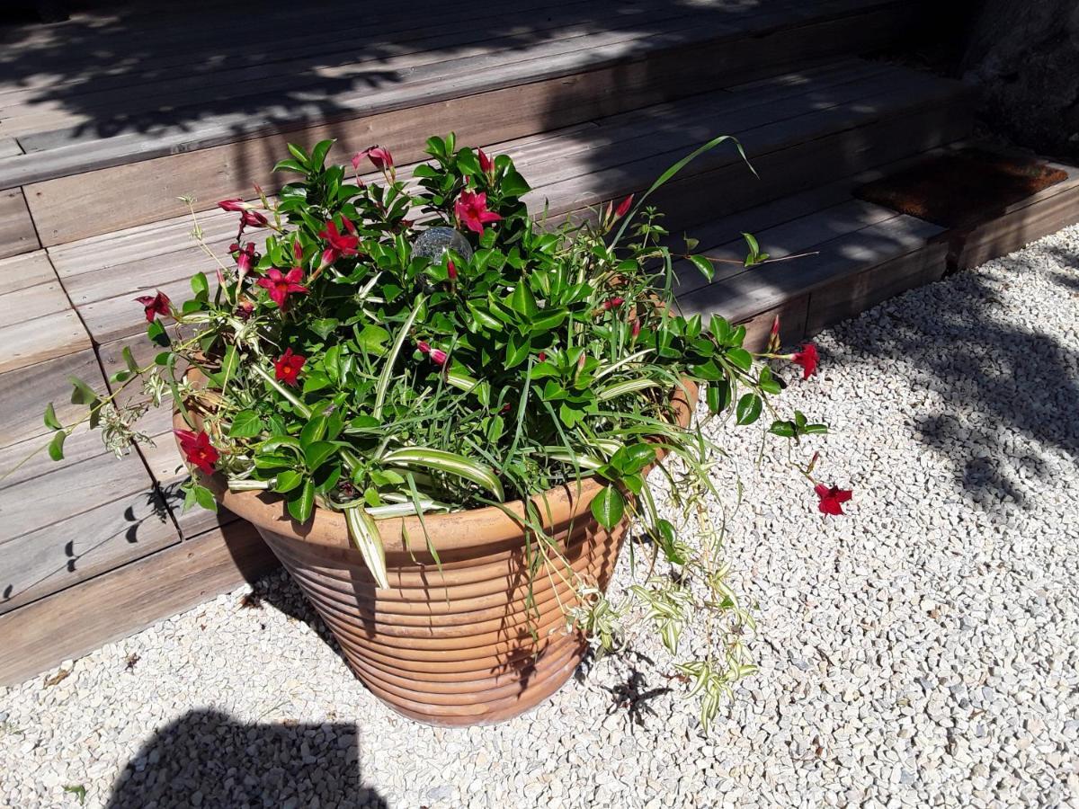 Вилла La Bonbonne En Provence Travaillan Экстерьер фото